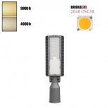 Réverbère LED - 60W - HALLEY BRIDGELUX Chip 140lm/W