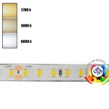 Tira LED 24V | CRI ELITE |140 LED/M | 5m | SMD2835 | 1600Lm |11W/M | CRI98 | IP20