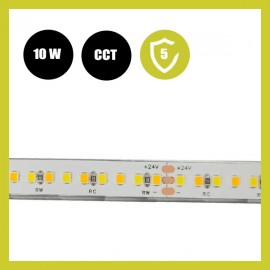 Tira LED 24V | 240xLED/M | 5m | SMD2025 | CCT | 10W/M | IP20