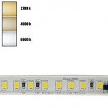 Tira LED 220V | 20W/M | 140xLED/M | 50m | SMD2835 | 2660Lm/M | IP67 | Corte Cada 10cm