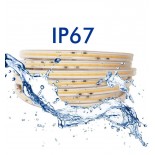 Tira LED COB 220V | 448 LED/M | 20m | FLIP CHIP | 1200Lm/M |14W/M | CRI+82 | IP67